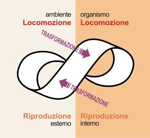 schema09