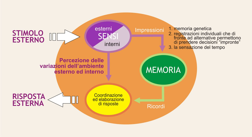 Lo psichismo in relazione con l’ambiente